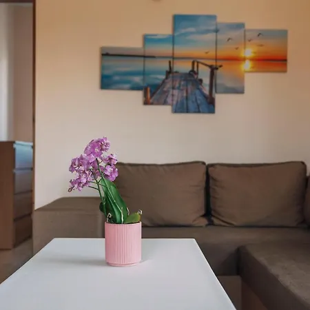 Сasa de vacaciones Lesna Oaza Sasino