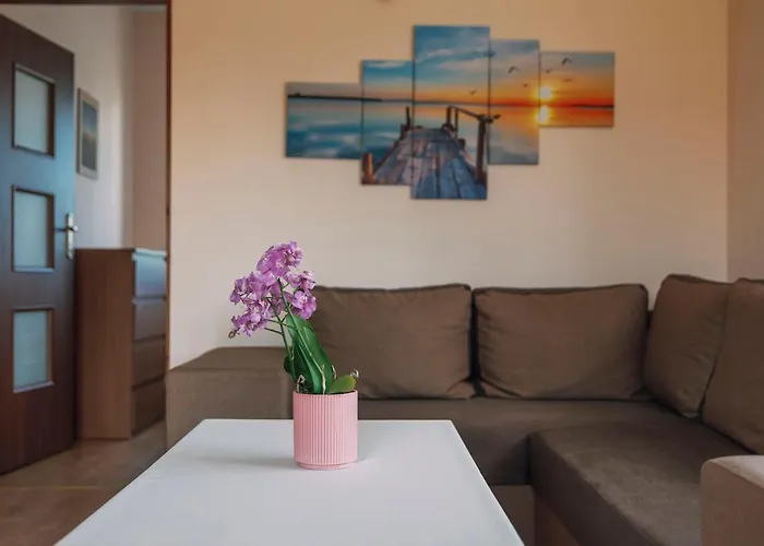 Ferienhaus Lesna Oaza Sasino